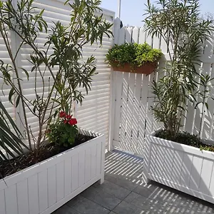 Citrus Boutique Баку